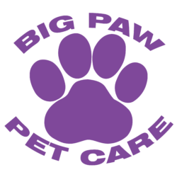 Big Paw Pet Care